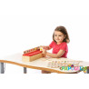 Carte d'apprentissage avec boîte de tri montessori en bois