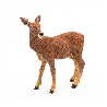 Lot de 8 figurines FERME - 10 mois+