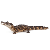 Lot de 8 figurines FERME - 10 mois+