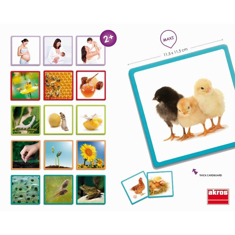 Cartes l’évolution dans la nature ( pour les enfants de 1 an et plus )