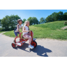 Ben hur tricycle spécial collectivité 4 à 7 ans