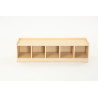 Low Storage Cabinet with 5 Compartments