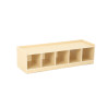 Low Storage Cabinet with 5 Compartments