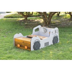 Outdoor Toy Car