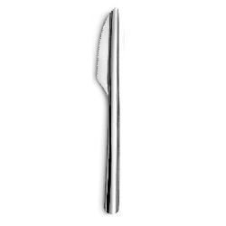 Lot de 12 couteaux an acier inoxydable
