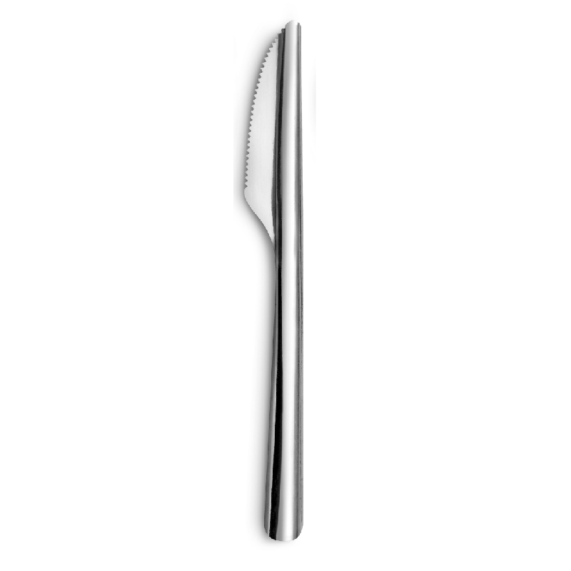Lot de 12 couteaux an acier inoxydable