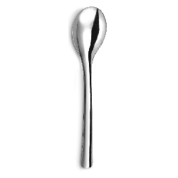 Lot de 12 cuillères en acier inoxydable
