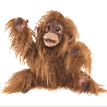 Grande marionnette - Bébé orang-outan