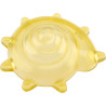 Coquillages sensoriels transparents - 36 pièces