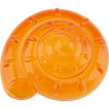 Coquillages sensoriels transparents - 36 pièces