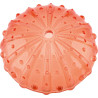 Coquillages sensoriels transparents - 36 pièces