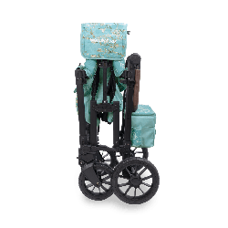 Poussette wagon 2 places - Van Gogh - 6 mois +
