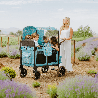 Poussette wagon 4 places - Van Gogh - 6 mois +