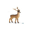Lot de 11 animaux de la foret (figurines papo)