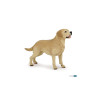 Lot Vert - Lot de 5 Figurines - Chiens de collection