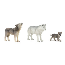 Famille de loup 10 mois et plus