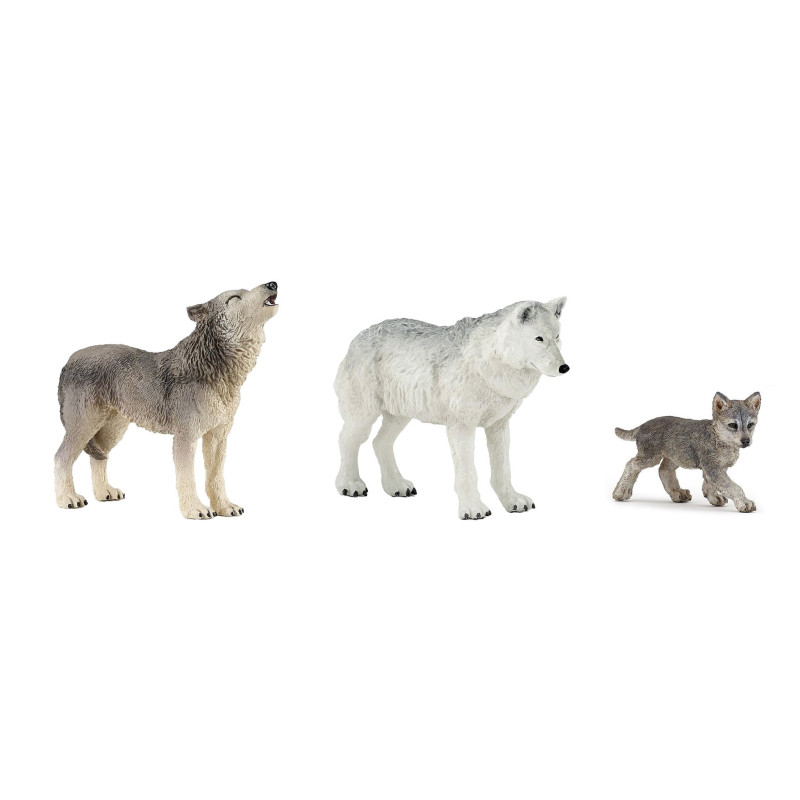 Famille de loup 10 mois et plus
