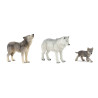 Famille de loup 10 mois et plus