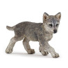 Famille de loup 10 mois et plus