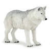 Famille de loup 10 mois et plus