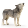Famille de loup 10 mois et plus