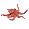 4 Figurines les Animaux Marins 10 mois et plus