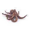 4 Figurines les Animaux Marins 10 mois et plus