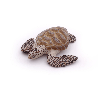 4 Figurines les Animaux Marins 10 mois et plus