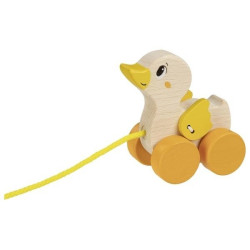 Canard à tirer