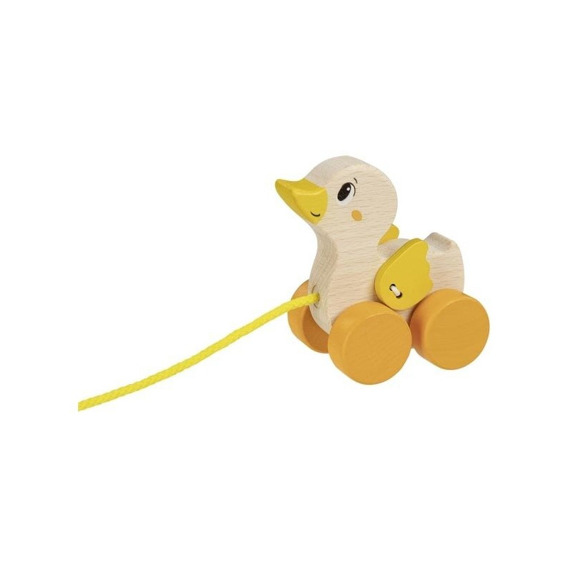 Canard à tirer
