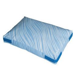Coussin sensation planche