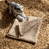 lange étamine ultra doux 140 g/m² 100% coton dim 70 x 70 cm