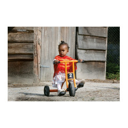 Tricycle petit enfant 2 à 4 ans Circleline