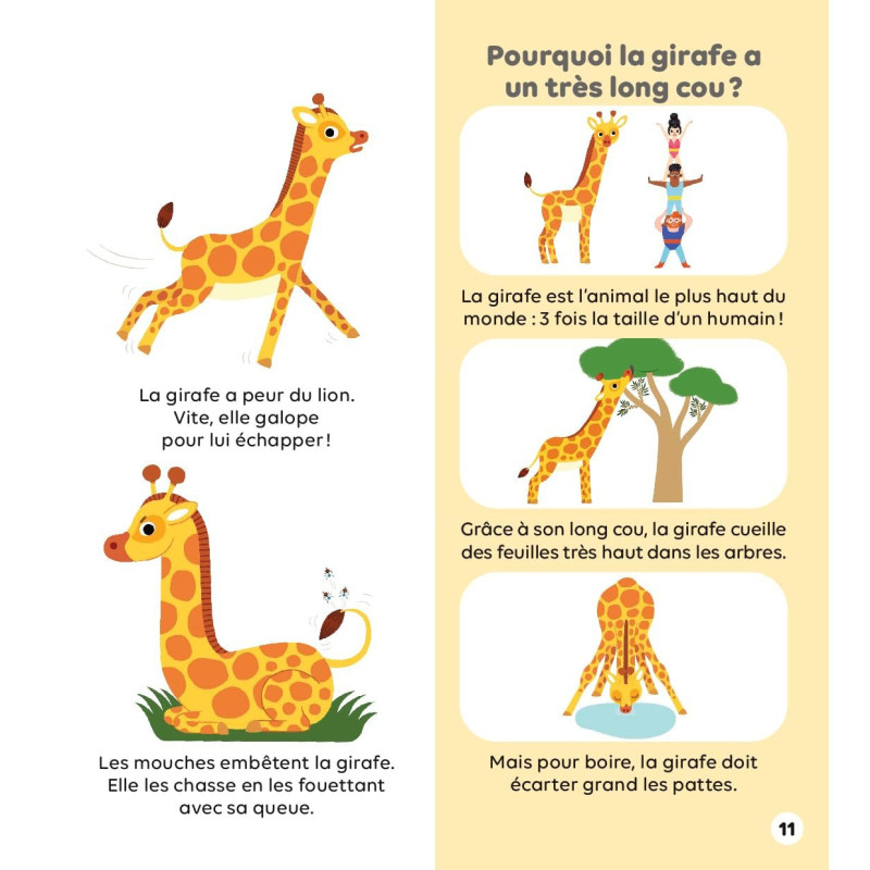 Les animaux de la savane
