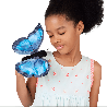 Marionnette à doigt - Papillon Morpho bleu