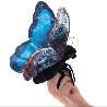 Marionnette à doigt - Papillon Morpho bleu