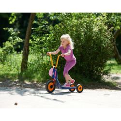 Trottinette 3 roues enfant 2 à 4 ans Mini viking