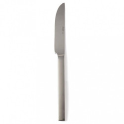Couteau inox 21cm