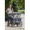 Poussette 4 places cabrio buggy