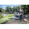 Poussette 4 places cabrio buggy