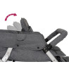 Poussette 4 places cabrio buggy