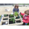 Carré potager en bois