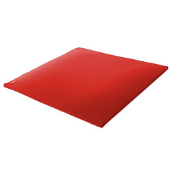 Aire d'évolution en mousse pvc 100x100x2cm