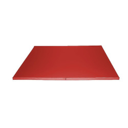 Tapis aire d'évolution pliant en mousse pvc 200 x 200 x 4cm