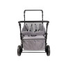 Poussette Wagon 4 places Gris