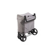 Poussette Wagon 4 places Gris