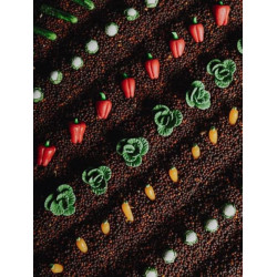 bouteille sensorielle - Légumes