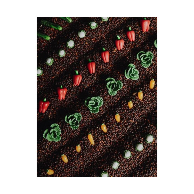 bouteille sensorielle - Légumes