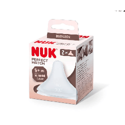 2 tétines NUK en silicone taille S - 0m+