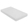 Matelas en mousse imperméable 50x100x10cm